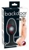 Plug-Backdoor Friend S